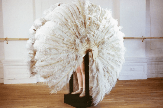 Rebecca Horn, Die Sanfte Gefangene (la douce prisonnière), 1978 Col. Rebecca Horn